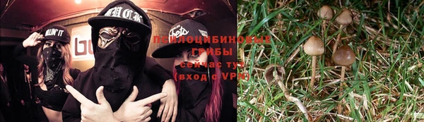 бутират Алексеевка